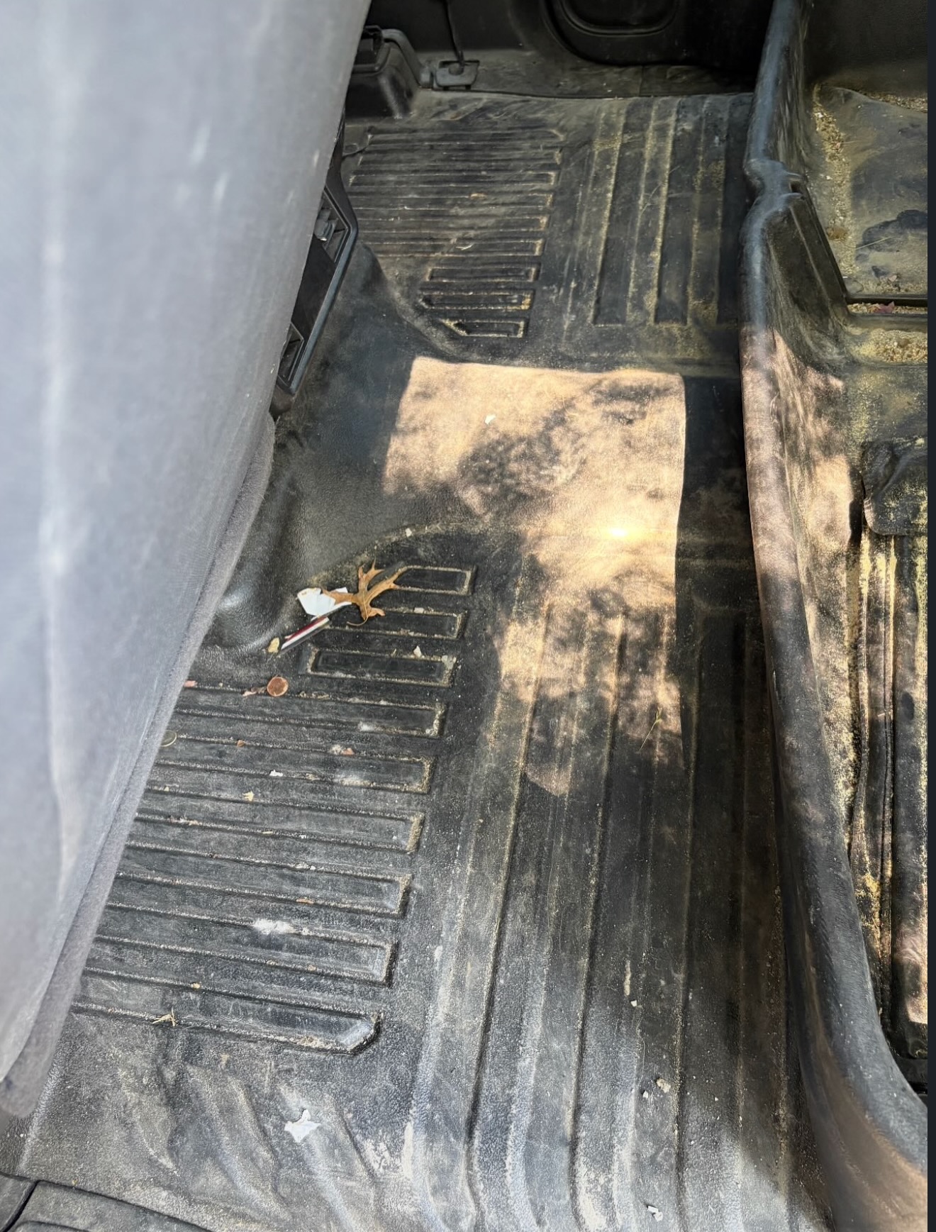 Car interior cleaned and detailed — mobile auto detailing Johnson County Kansas Premier Detailing