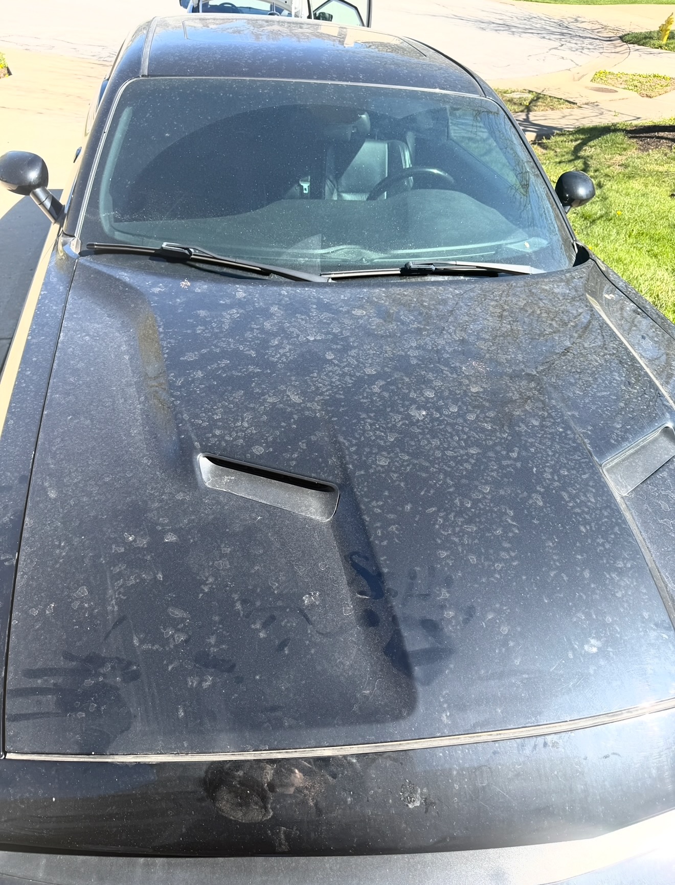 Car interior detail — mobile auto detailing Johnson County KS Premier Detailing LLC