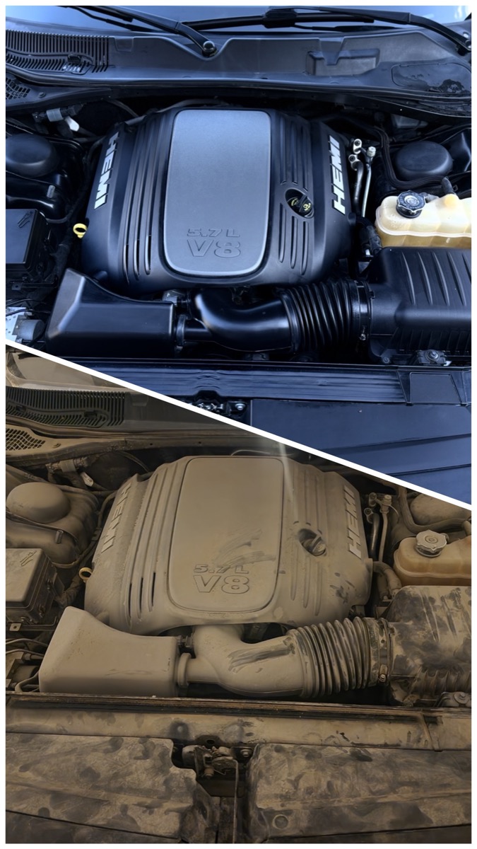 Before and after pet hair removal in truck, Johnson County KS