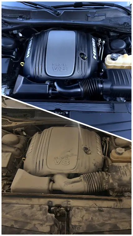 Before and after pet hair removal in truck, Johnson County KS