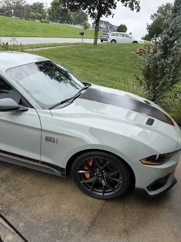 Ford Mustang Mach 1 side with orange brake calipers after detailing